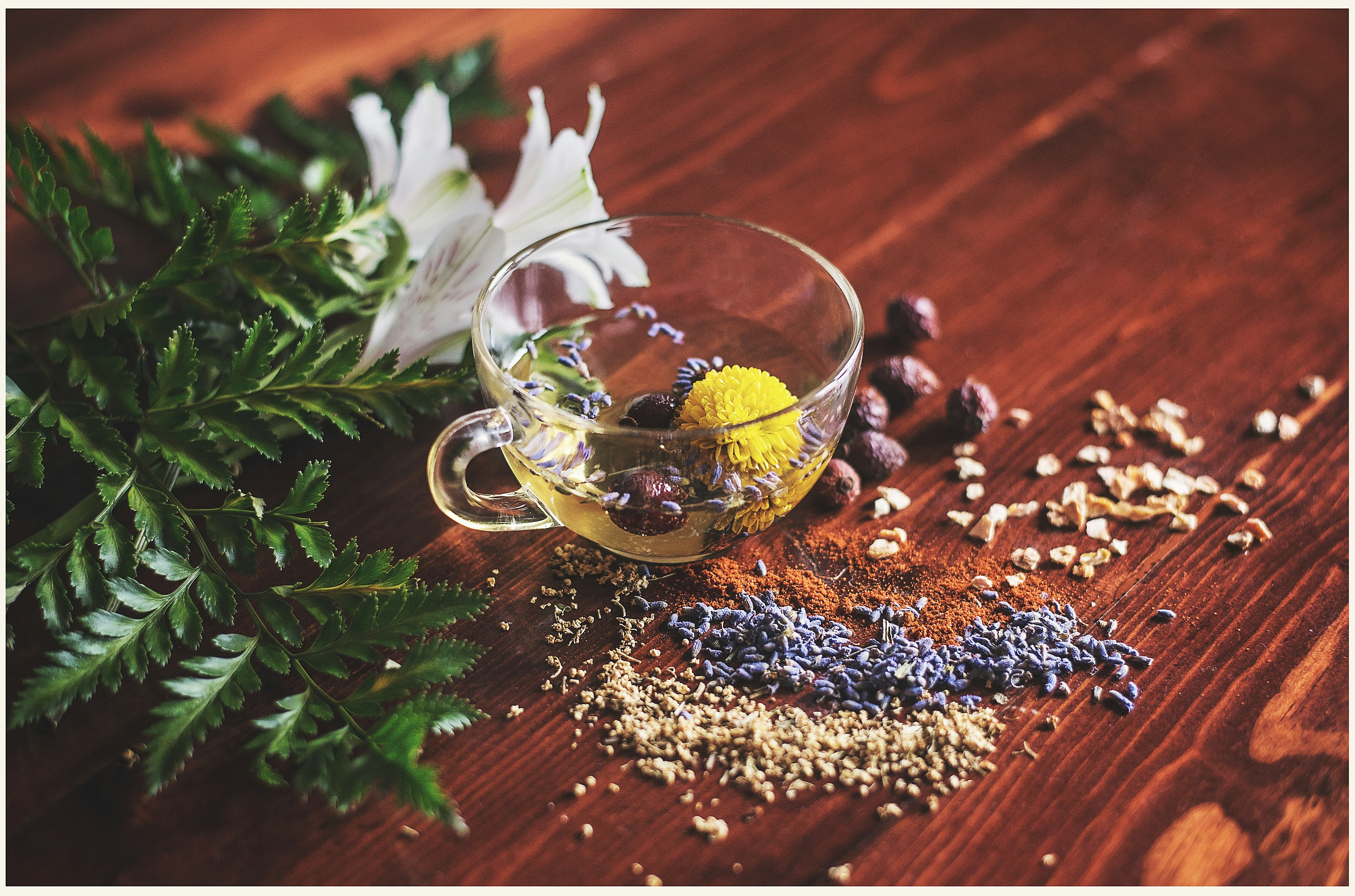 Bush Medicine Herbal Tisane