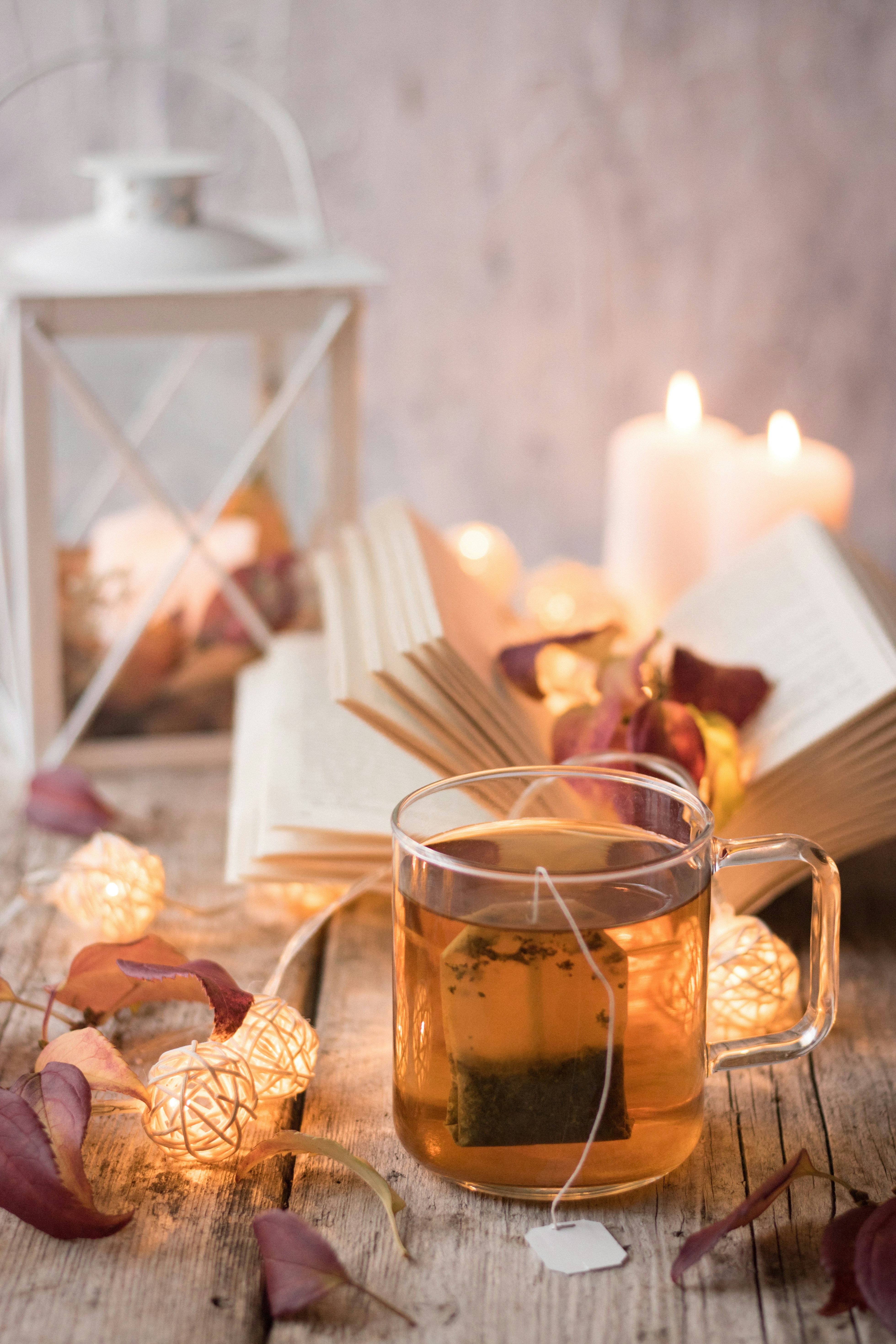 Dandy Lion Herbal Infusion